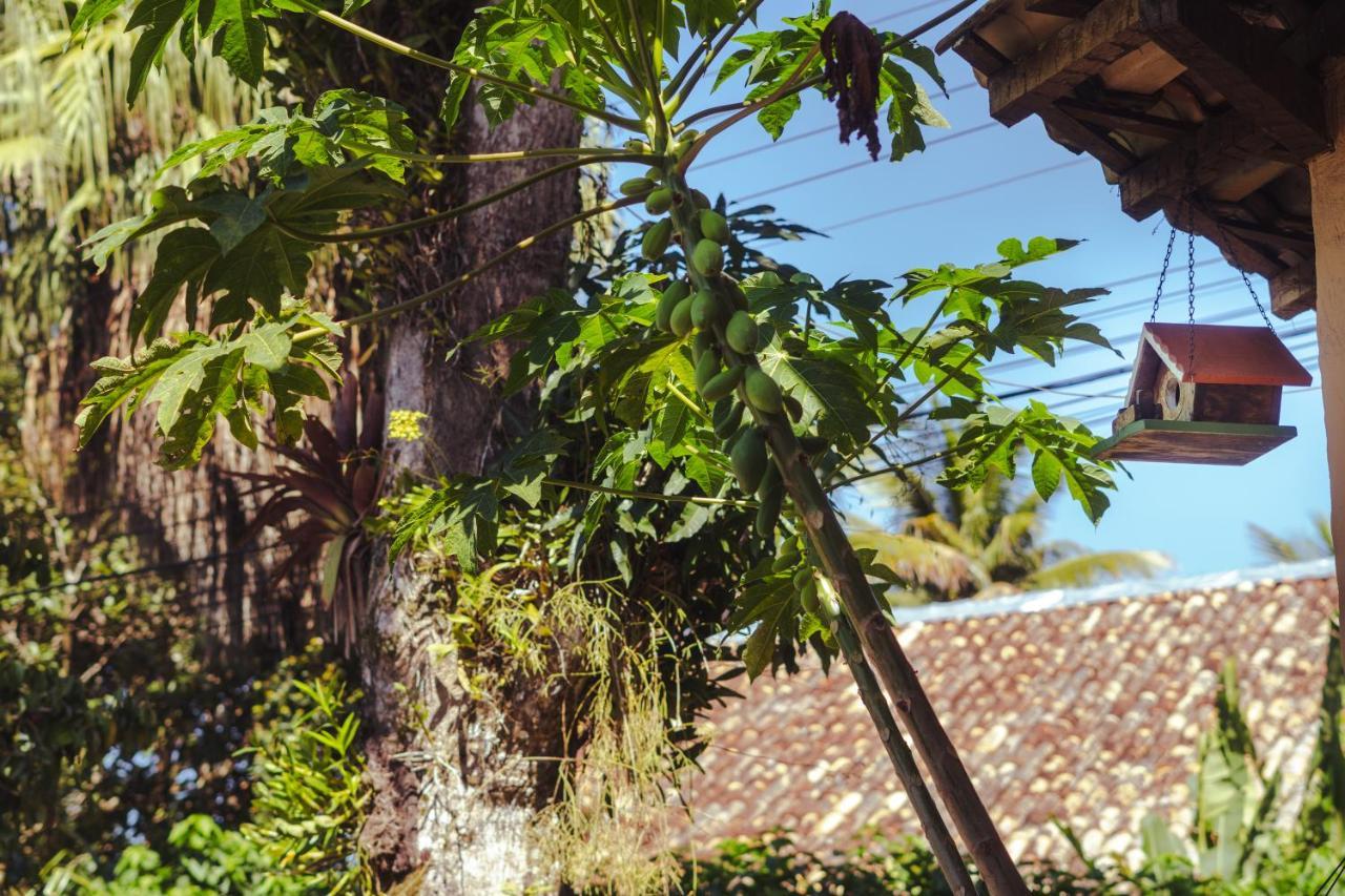 Pouso Do Farol Hotel Ubatuba Kültér fotó